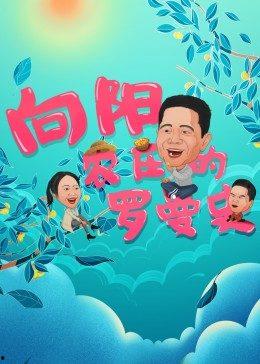 向阳农庄的罗曼史,浪漫邂逅与田园梦想的交织