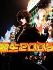 重生崛起2003,中国科技产业的崛起之路